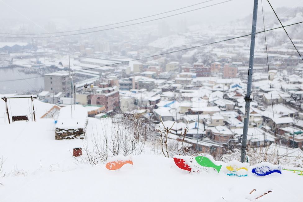 겨울,눈,묵호항,묵호,강원도,겨울,계절,winter,season,도시,풍경,city,landscape,한국도시풍경,한국도시경관,korea cityscape,감성,sensible,feeling,nature,자연,outdoors,옥외,snow,storm,폭풍,blizzard,눈보라