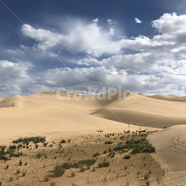 몽골,고비사막,사막,모래,구름,흙,nature,자연,sand,dune,모래언덕,옥외,outdoors,soil,자연,풍경,nature,landscape,모래 언덕