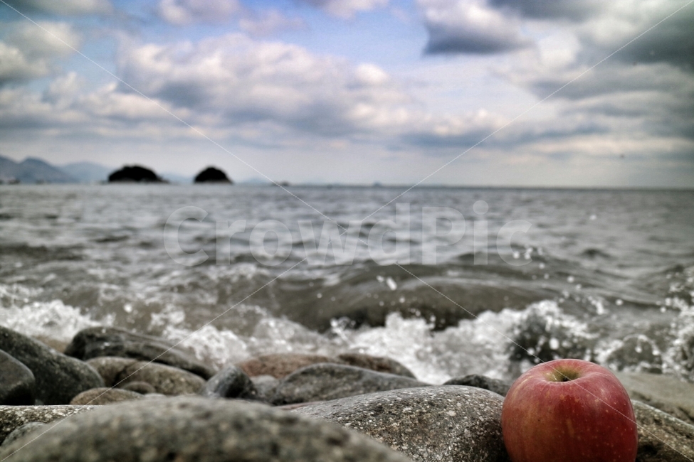 바다,파도,사과,섬,수평선,구름,겨울바다,자연,풍경,nature,landscape,해변,바다,beach,sea,음식,식재료,요리,food,cook,meal,dishes,food reserves,과일,열매,fruit,plant,식물