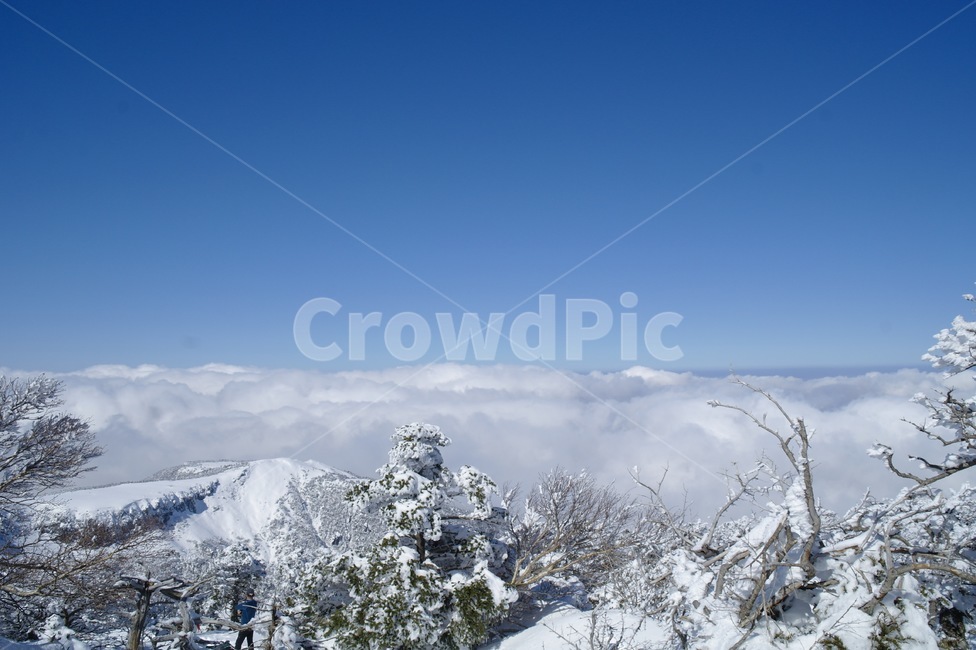 mountain,tree,자연,한라산,제주,제주도,jeju,sky,겨울,겨울산,산,구름,하늘,겨울,계절,winter,season,자연,풍경,nature,landscape