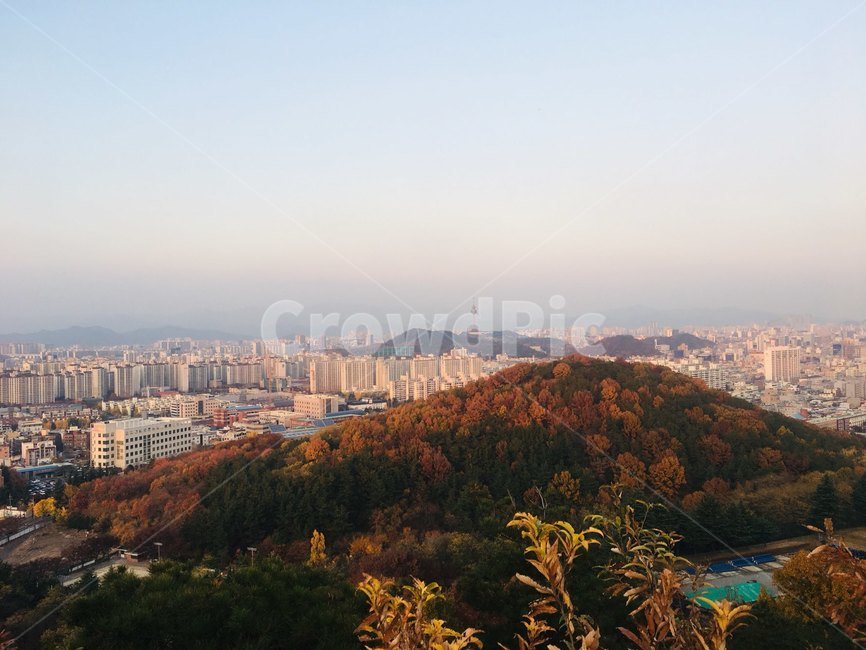 대구학산,학산뷰,학산정상,산정상,대구