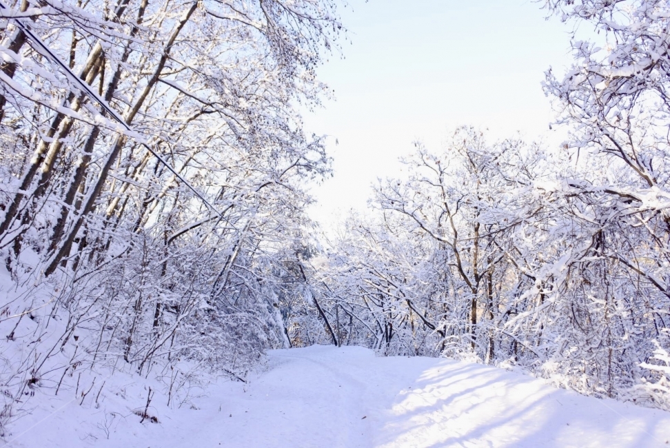 눈,겨울,산,강원도,인제,겨울,계절,winter,season,자연,풍경,nature,landscape,storm,폭풍,outdoors,옥외,blizzard,눈보라,snow