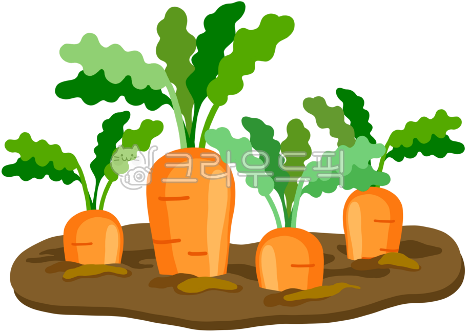 귀여운당근,당근,당근손그림,당근일러스트,흙당근,당근야채,당근채소,주황당근,당근그림,당근뿌리