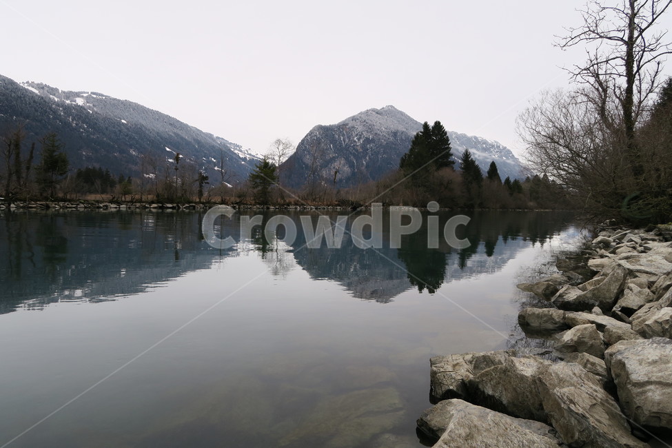 나무,스위스,눈,설경,산,겨울,호수,겨울,계절,winter,season,자연,풍경,nature,landscape,water,물,outdoors,옥외