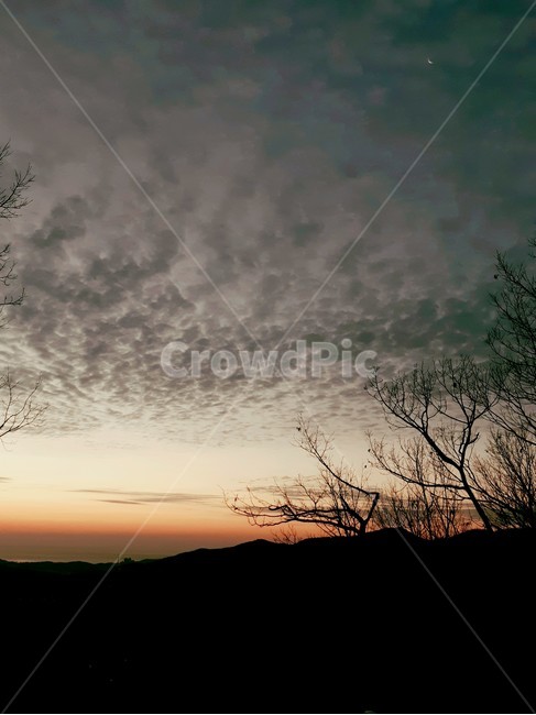 2019년,해돋이,산,새벽,기다림,겨울,구름