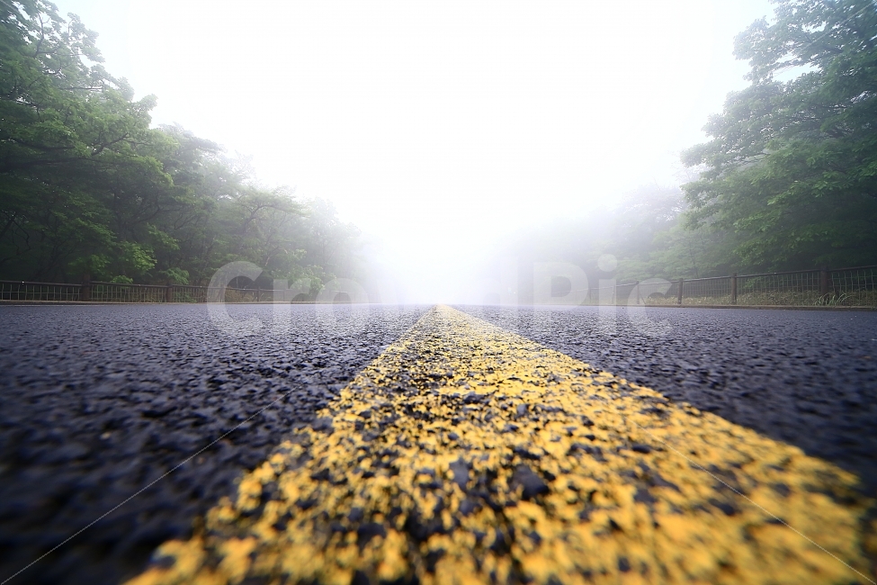 그길,안개,도로,환상적,감성,느낌,교통,교통수단,traffic,transportation,asphalt,아스팔트,road,gravel,자갈,dirt road,흙길