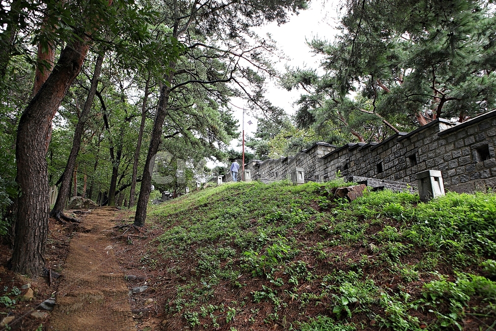 수원화성,성,성곽,길,둘레길,담,돌담,가을,자연,풍경,벽,방어벽,전통,흙담,식물,한국전통,한국문화,korean traditional,korean culture