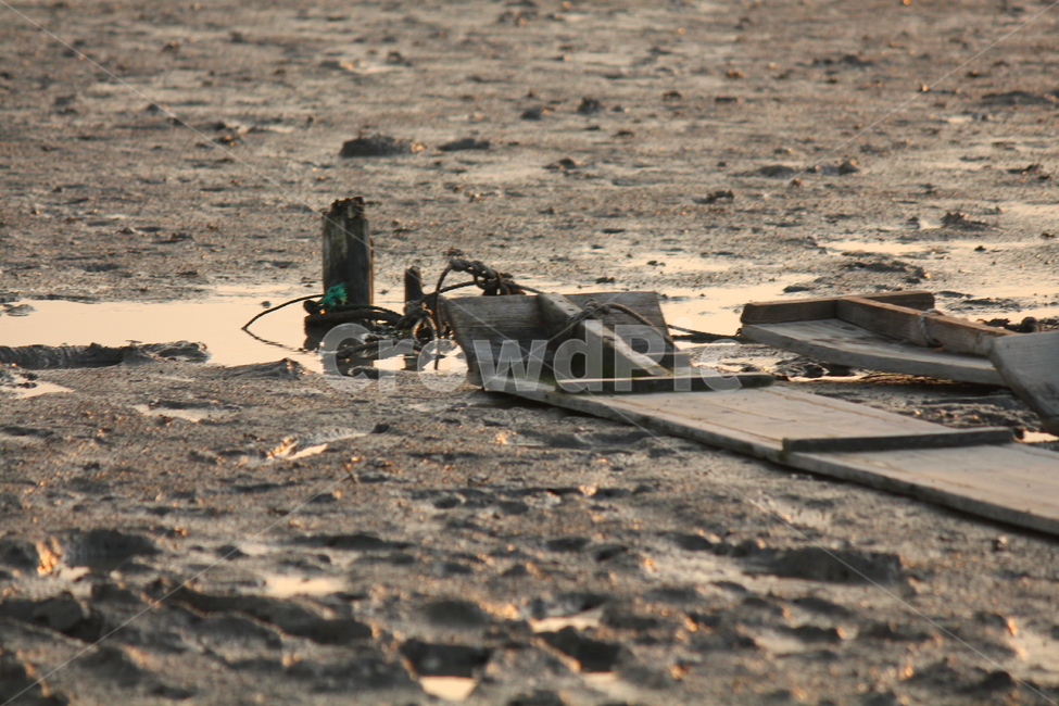 갯벌,뻘배,조개잡이,갯마을,꼬막잡이