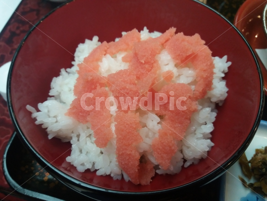 명란덮밥,일본요리,일본음식,후쿠오카맛집,일본맛집,음식,식재료,요리,food,cook,meal,dishes,food reserves,일식,일본음식,일본요리,Japanese food,Japanese dishes,Japanese meal,Japanese cook