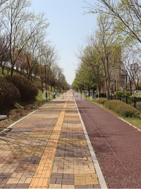 공원길,산책로,자전거길,봄길,맑은하늘,자연,풍경,nature,landscape,path,통로,walkway,보도,sidewalk,pavement,포장