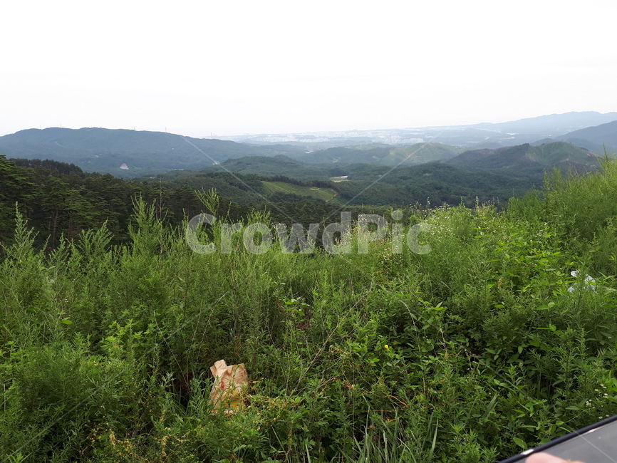 산,나무,풀,하늘,날씨