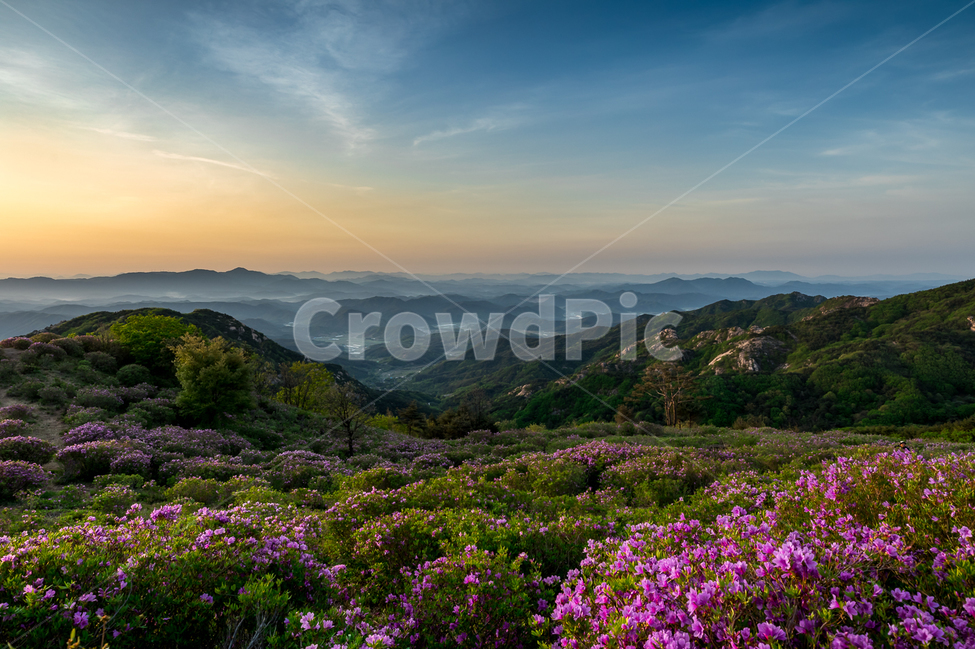 자연,풍경,일출,하늘,구름,태양,황매산,철쭉,철쭉축제,산,운해,nature,landscape,sunrise,sky,clouds,sun,봄,계절,spring,season,자연,풍경,nature,landscape,한국자연풍경,한국자연경관,korea nature landscape,outdoors,옥외