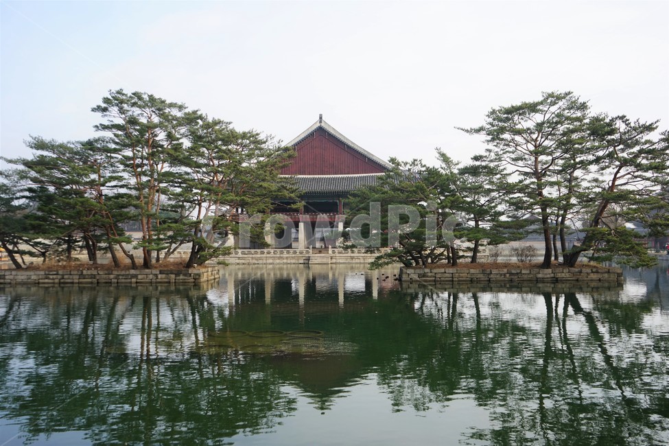 경회루,경복궁,물,반영,나무,기와,건축물,old,traditional,building,Korea,Chosun,조선시대,기와지붕,기둥,연못,소나무,연회,야간개장,조선,조선궁궐,누정,국보,팔작지붕,장대석,12지상,돌다리,계단,나무기둥,돌기둥,누각건물,큰규모,호화,간결,문화유적,한국건축물,호수,화강암,고궁,현판,전통양식,야간개방,기와집,지붕,전통,한옥,패턴,옥상,배경,전통적인,한국의construction,한국전통,한국문화,koreantraditional,koreanculture,건물외관,exterior,structure,architecture,배경사진,한국랜드마크,랜드마크,한국관광지,한국명소,한국전통,한국문화,korean traditional,korean culture,랜드마크,landmark,tourist attraction,한국랜드마크,한국관광지,한국명소,korea landmark,korea tourist attraction,건축물,건물외관,exterior,building,structure,architecture,construction