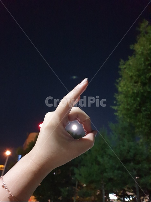 토끼달,달,손,밤,달밤,야경,밤,풍경,nightscape,night,landscape,finger,손가락