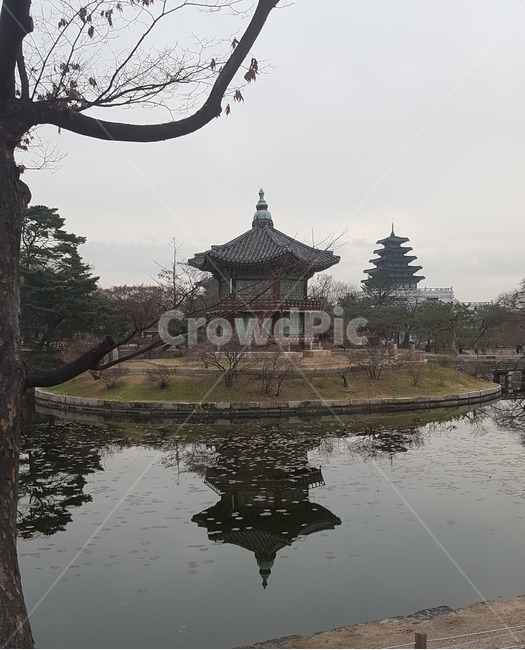 한국랜드마크,한국전통,자연,경복궁,한국자연풍경,한국전통,한국문화,korean traditional,korean culture,랜드마크,landmark,tourist attraction,한국랜드마크,한국관광지,한국명소,korea landmark,korea tourist attraction,건축물,건물외관,exterior,building,structure,architecture,construction