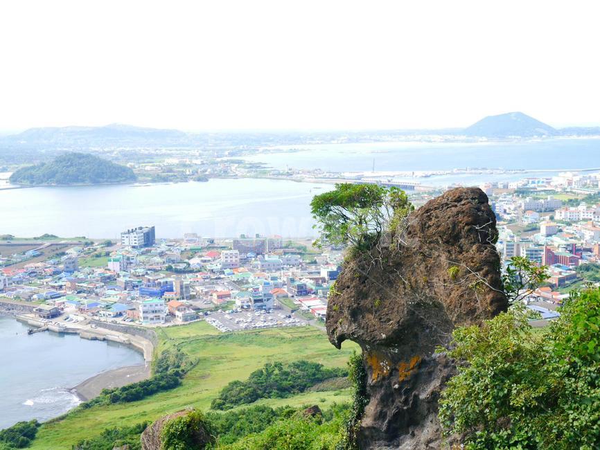 바다,산,등산로,제주도,풍경,여름,시원,나무,돌,물