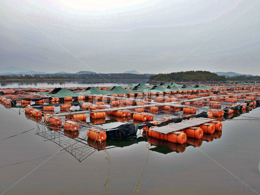 양어장,내수면,올레2코스,제주,서귀포시,둑,산업,industry,industrial,어업,fishery,fishing industry
