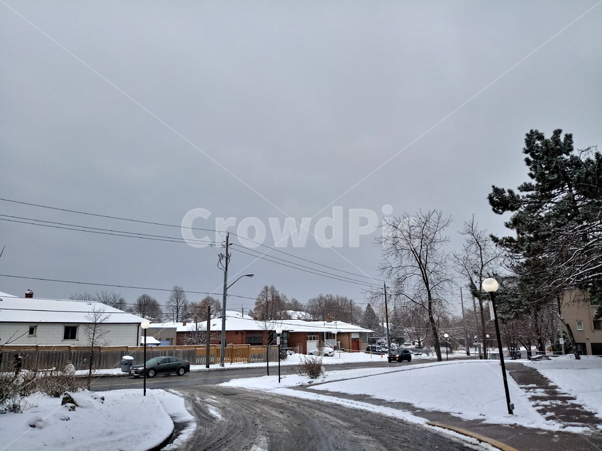 캐나다,길거리,외국,눈,canada,street,snow,겨울,계절,winter,season