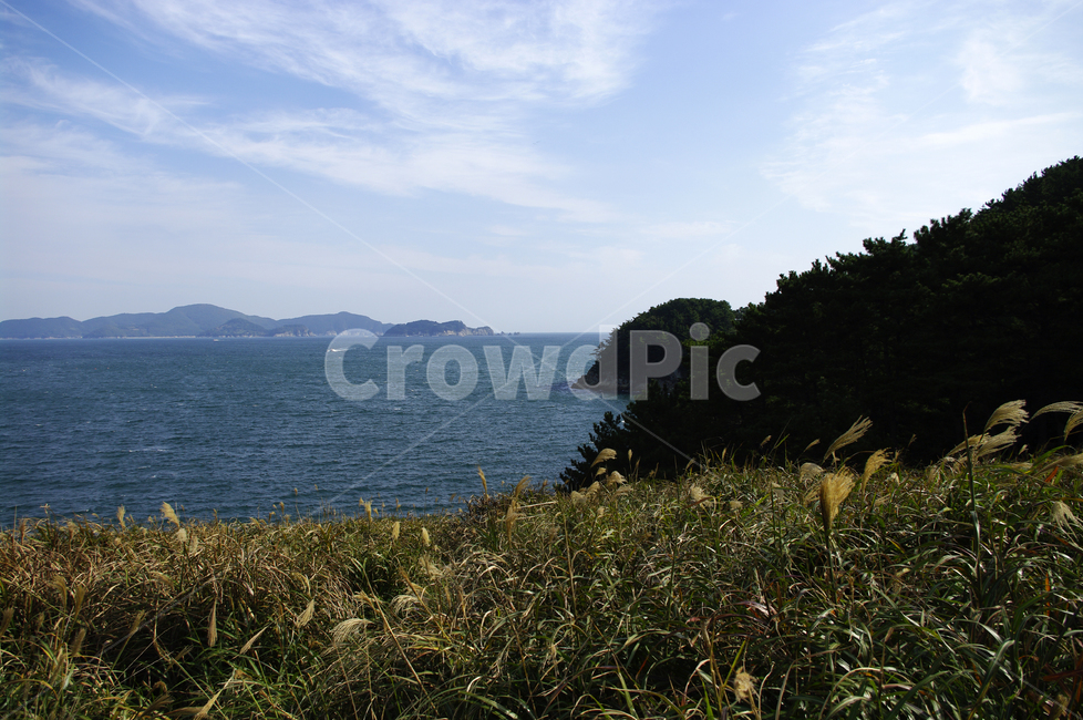 풍경,바다,섬,잡초,구름,억새,land,땅,outdoors,옥외,nature,자연,water,물,promontory,곶,ocean,대양,sea,shoreline,해안선