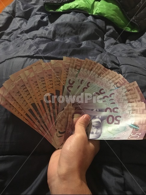 돈,손,dollar,달러,뉴질랜드달러