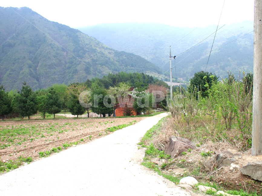 시골길,시골,길,countryside,road,countryroad