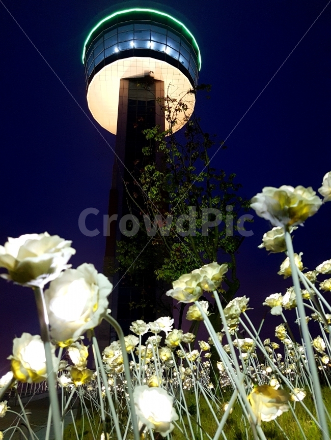 울산,울산대고,야경,꽃,빛,불빛,풍경,밤,고요함,야경,밤,풍경,nightscape,night,landscape,랜드마크,landmark,tourist attraction