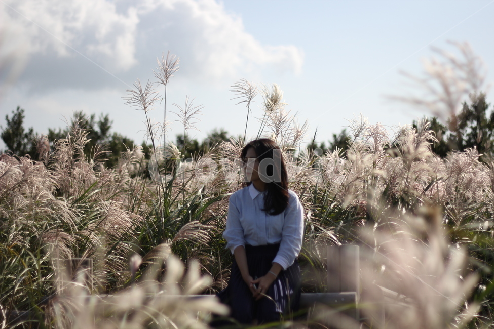 가을촬영,가을여자,여자상반신,오름,갈대,가을,새별오름,가을,계절,fall,autumn,season,식물,자연,plants,nature,여성,여자,woman,female,lady,plant