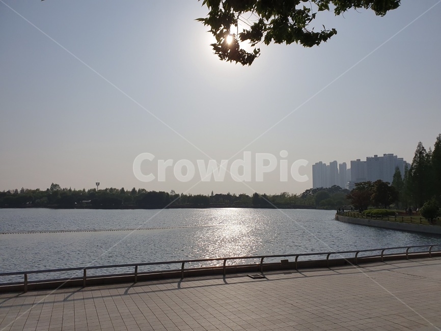 경기도,일산,풍경,호수,호수공원,따뜻한,햇빛