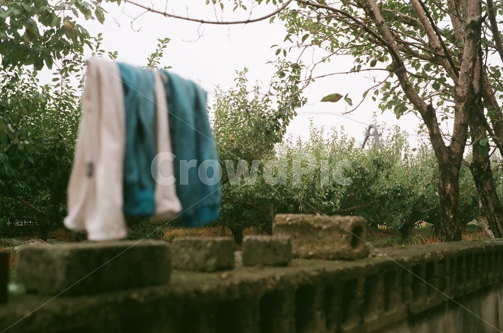 농촌,시골,담벼락,벽돌,빨래,시골,마을,풍경,landscape,country,rural,town