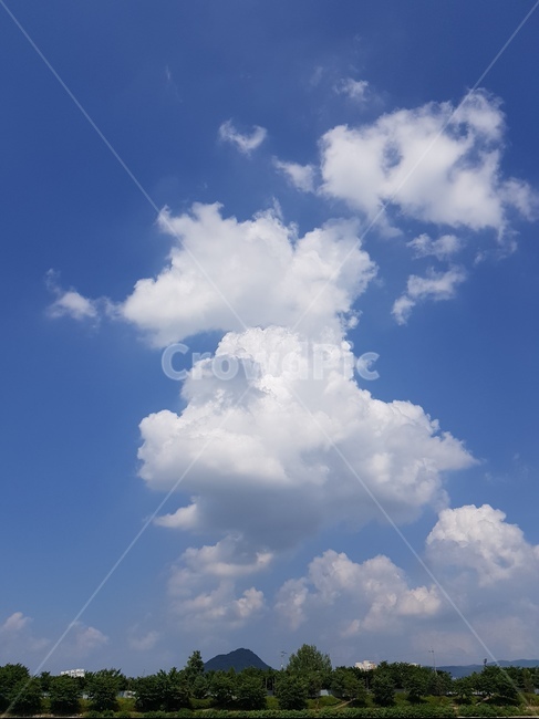 하늘,구름,파란,푸른하늘,뭉게구름