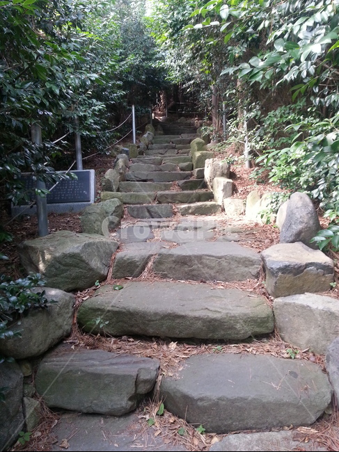 계단,공원,나무,자연,산책,자연,풍경,nature,landscape,flagstone,판석