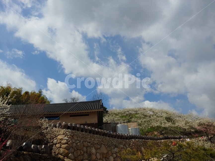 풍경,장독,구름,기와,담장,돌담,한국전통,한국문화,korean traditional,korean culture,건축물,건물외관,exterior,building,structure,architecture,construction