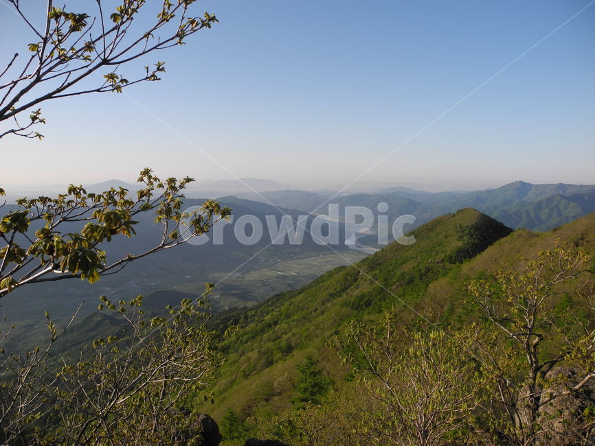 지리산,아침,해,나무,시작