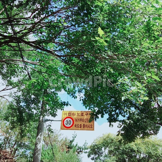 감성,표지판,어린이보호구역,푸른,감성사진,여름,summer,싱그러운,상쾌한,웹소스,앱소스,디자인소스