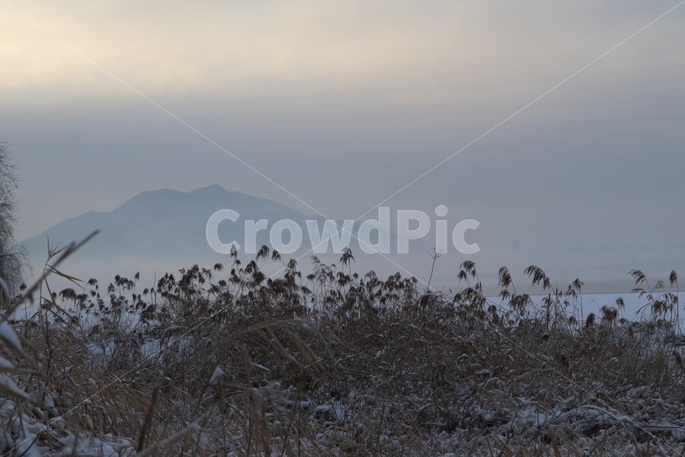 흐린날여명,설경,겨울풍경,산,갈대,안개,겨울,계절,winter,season,자연,풍경,nature,landscape,outdoors,옥외,mountain range,산맥,mountain