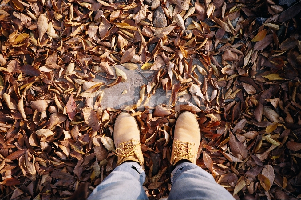 필름,감성,낙엽,신발,쓸쓸함,가을,가을,계절,fall,autumn,season,패션스타일,의상,fashion,style,고독함,외로움,쓸쓸함,우울함,슬픔,lonely,solitary