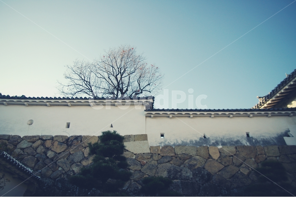 일본,고베,히메지,히메지성,아름다운,japan,kobe,himeji,세계유산,세계문화유산,castle,전통,일본전통,traditional,아시아,asia,성,담,담장,기와,wall,패턴,pattern,white,화이트,건축물,랜드마크,landmark,tourist attraction,해외,외국,세계,foreign,oversea,world,세계랜드마크,해외랜드마크,외국랜드마크,world landmark,world tourist attraction,건축물,건물외관,exterior,building,structure,architecture,construction,벽