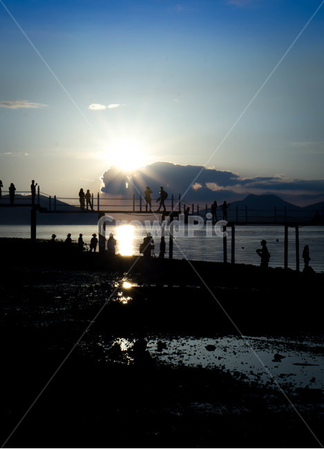 일몰,해질녘,실루엣,사람들,해변,바다,beach,sea,한국,군중,sky,일물실루엣,사람실루엣,해변,바다,beach,sea,사람들,대중,군중,other people,crowd,인물실루엣,사람실루엣,character silhouette,human silhouette,light,빛,flare,플레어,person,사람,human,인간,sunlight,햇빛