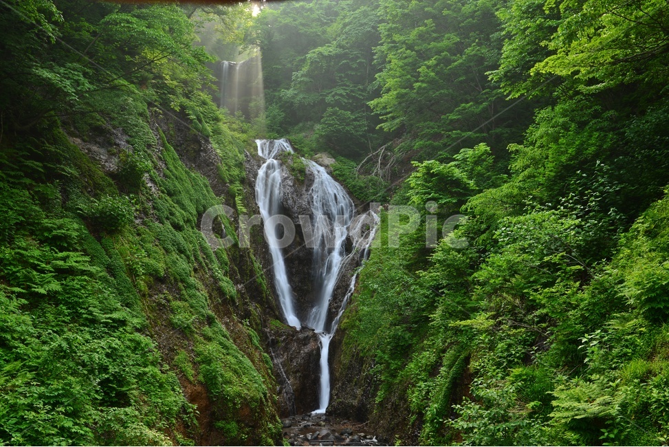 nature,자연,outdoors,옥외,water,물,waterfall,폭포,울릉도,봉래폭포,이끼계곡,경치,경관,비경,풍경,자연,풍경,nature,landscape