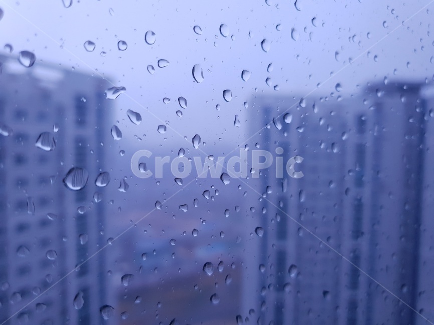 droplet,작은물방울,아파트,빗방울,비,창문