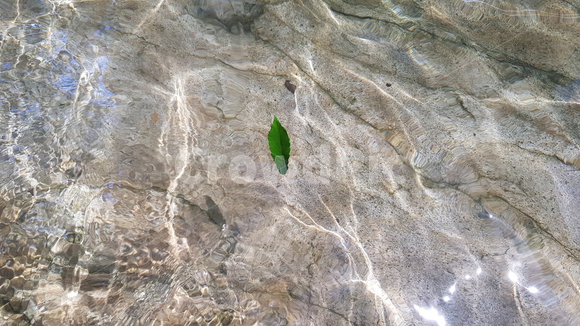 물,water,계곡,valley,나뭇잎,leaf,청초,pure,깨끗한,맑은,초록색,투명,바위