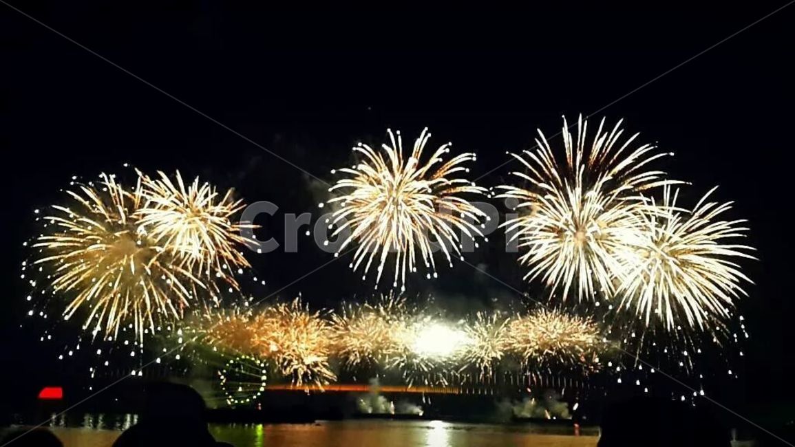 불꽃,놀이,자연,밤,야경,축제