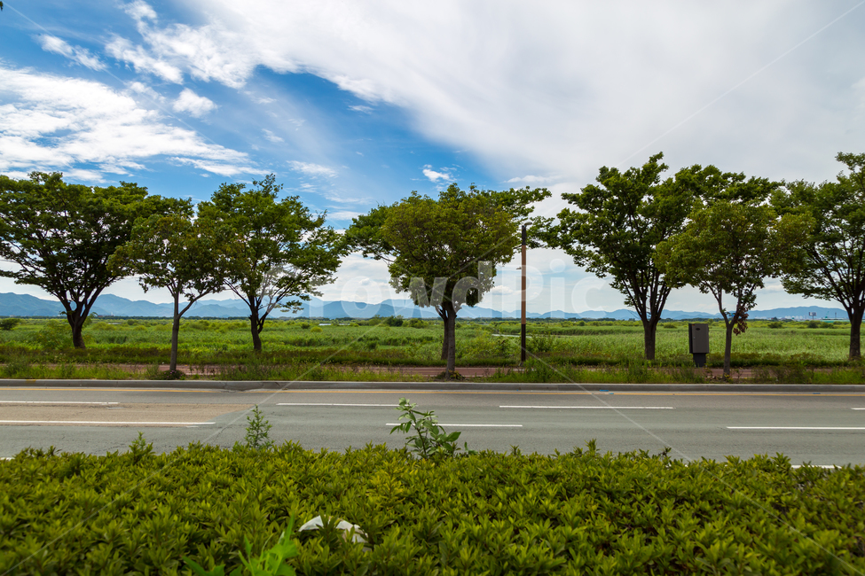 하늘,자연,나무,구름,sky,자연,풍경,nature,landscape,나무,trees,wood,outdoors,옥외,tree,plant,식물