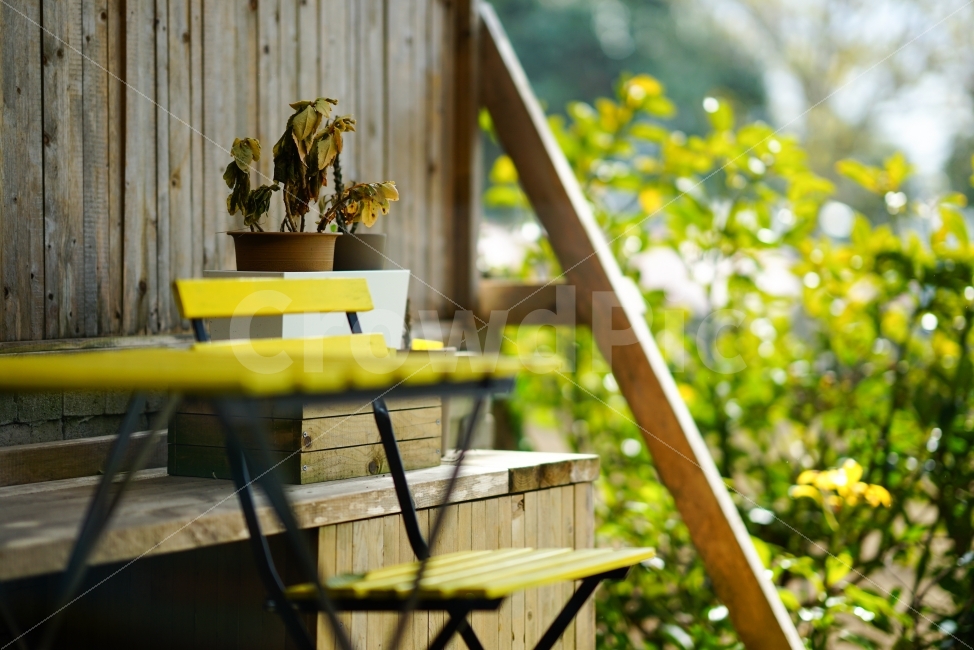 의자,화분,감성,봄,햇빛,노랑,따뜻함,chair,flowerpot,sensibility,emotion,spring,sunlight,yellow,warmth,식물,자연,plants,nature,감성,sensible,feeling