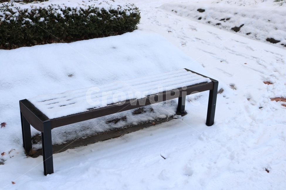 눈,벤치,자연,흰색,식물,초록,snow,yuki,nature,white,shiro,plants,shokubutsu,green,midori,겨울,winter,huyu