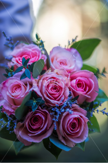 웨딩,결혼,부케,장미,꽃,꽃,flower,기념일,축하,anniversary,congratulation,celebrate,celebration