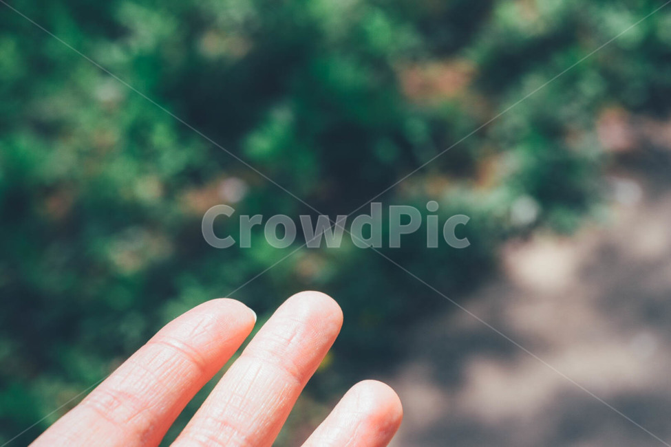 손,자연,풍경,풀,숲,아련,아웃포커싱,봄,nature,hand,spring,사람,인물,인간,human,person,신체일부,몸,body,감성,sensible,feeling