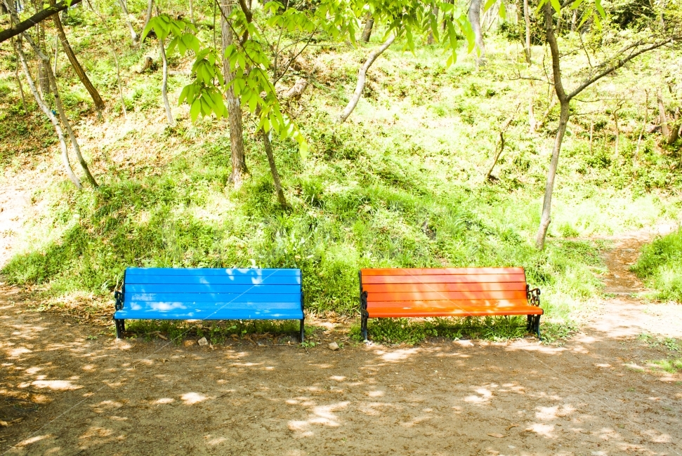 의자,벤치,사랑,색감,화창함,봄,자연,풍경,nature,landscape,여름,계절,summer,season,사물,물건,오브젝트,thing,object,matter,bench,furniture,가구