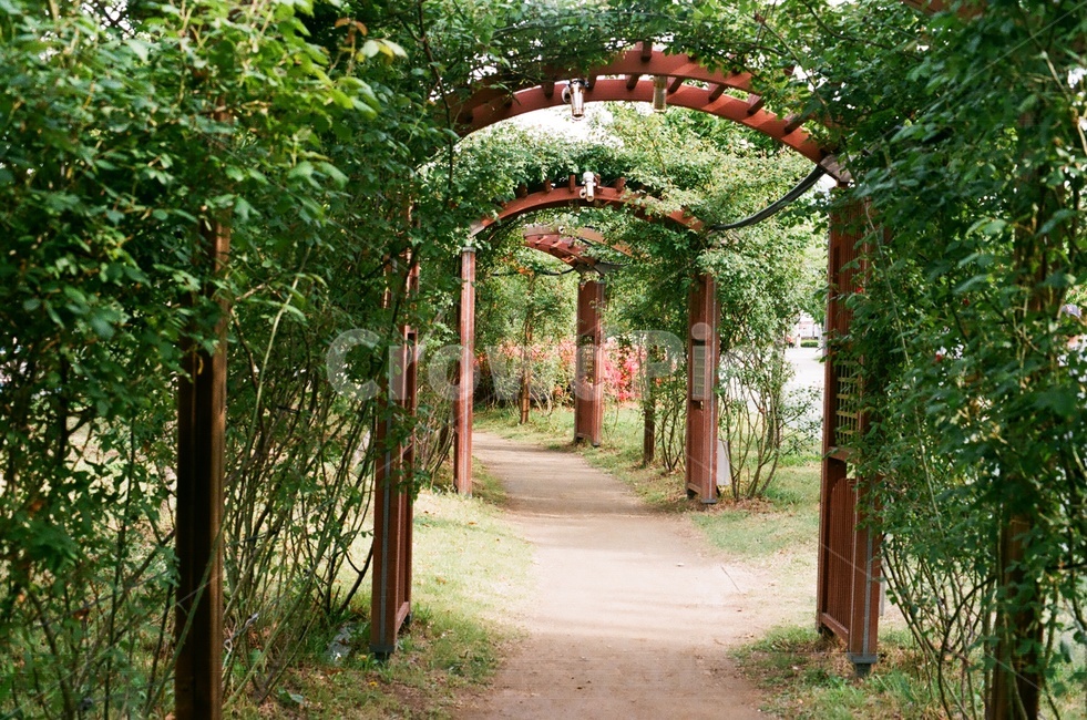 경산,남매지,공원,park,gyengsan,흙길,산책로