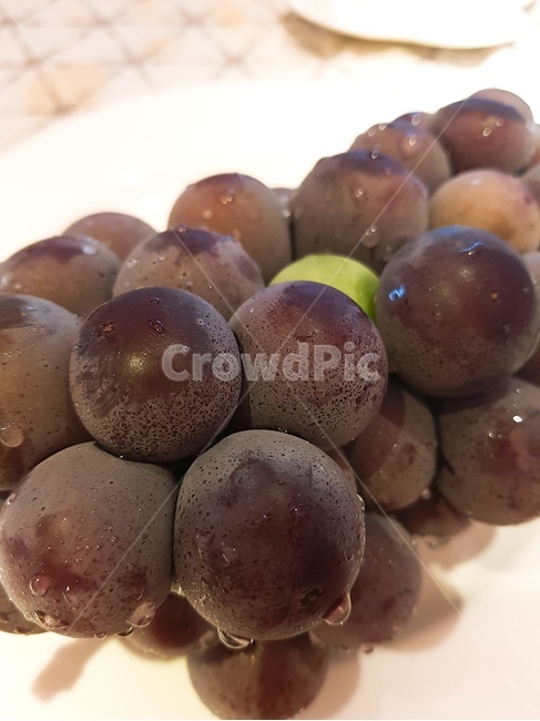 포도,과일,보라색,간식,옥에티,물방울,달콤한,상큼한,grape,fruit,싱싱함